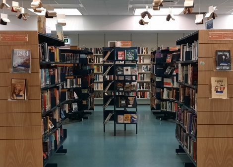 Foto: bokhyller og bøker på skolebiblioteket.