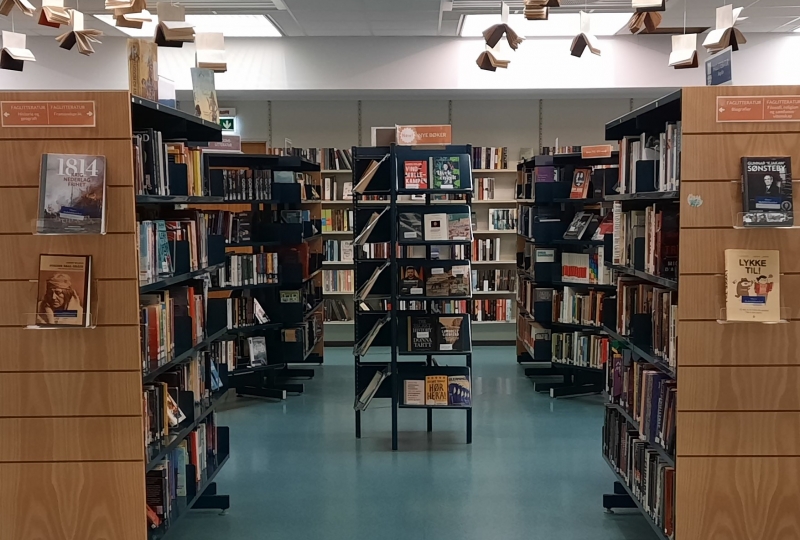 Foto: bokhyller og bøker på skolebiblioteket.