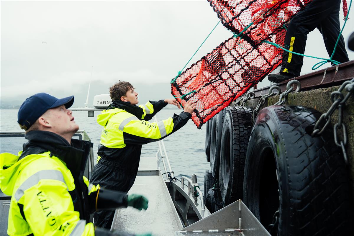 Elevar frå Naturbruk - Klikk for stort bilete